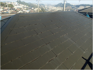  PA300303(7).jpg