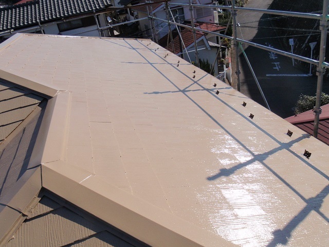 P1260253..jpg