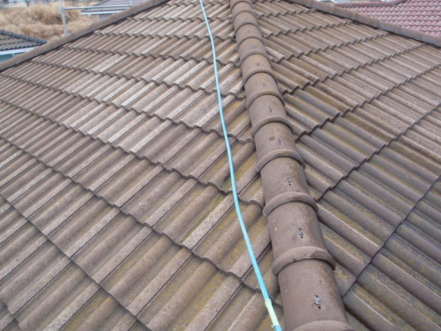 P3020011屋根.jpg