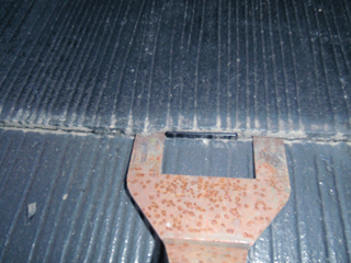 P1140202..jpg