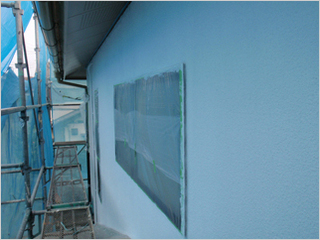 P1210235..jpg