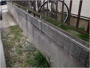  P9220252(11).jpg