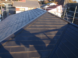 P1120186.jpg