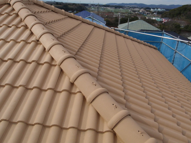 P3020011屋根.jpg